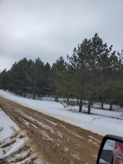 Lot 3 Ponderosa Dr, Staples, MN 56479