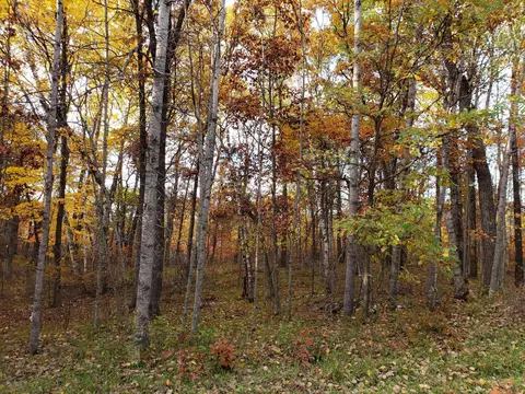 lot10 Blue Ridge Dr, Breezy Point, MN 56472