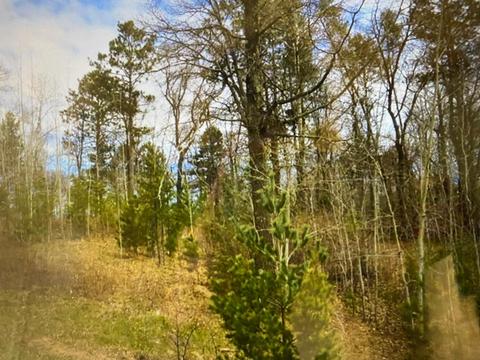 Nnn Rolling Oaks Street, Motley, MN 56466
