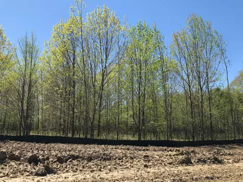 L1 B2 Dorothy Way, Spring Lake Twp, MN 55372