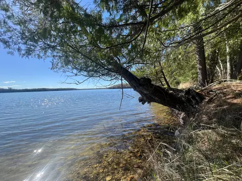 56657 Becker Road, Marcell Twp, MN 56657