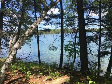 Nnn Hazelnut Trail, Mantrap Twp, MN 56467