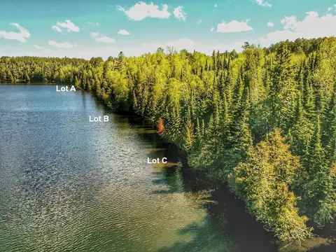 lot A Fox Lake Rd, Bigfork, MN 56628