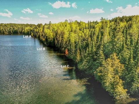 Lot C Fox Lake Road, Bigfork, MN 56628