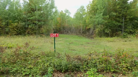 lot1 Beaver Dam Rd, Hertel, WI 54845