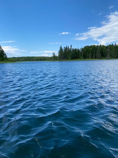 Lot D County 5, Hackensack, MN 56452