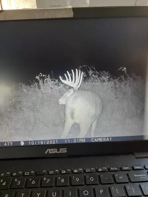 Nnnn Co Rd S, Emerald, WI 54013