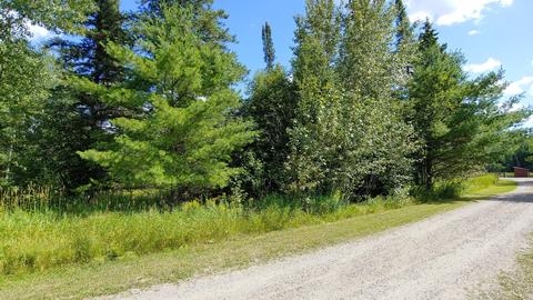 10339- Lot 10 Ash River Trl, Orr, MN 55771