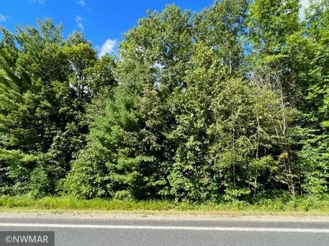 Tbd N. Grace Lake Rd Ne, Frohn Twp, MN 56601