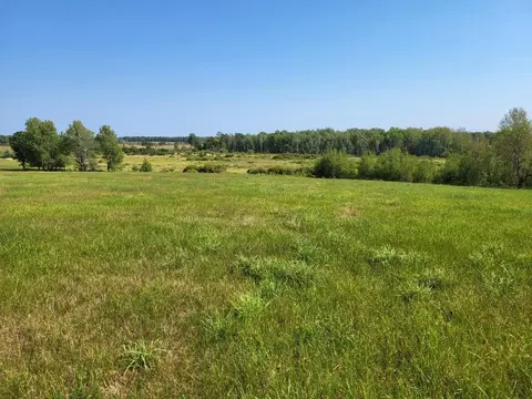 Tbd Highway 64, Meadowbrook Twp, MN 56466