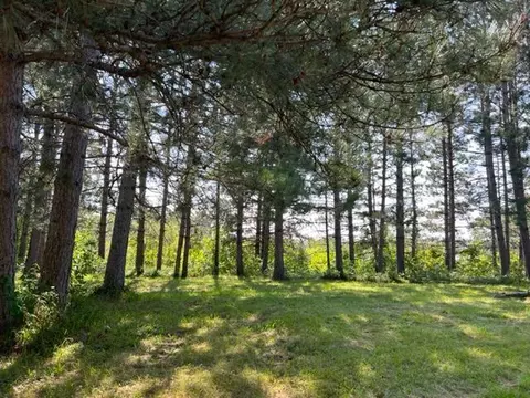 Tract 2 Lake Breeze Lane Ne, Longville, MN 56655