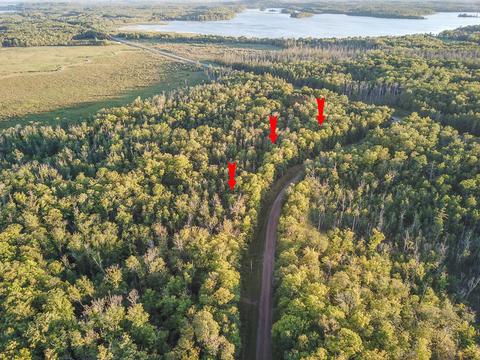 3 Lots Beaver Dr, Garrison, MN 56450 photo 2