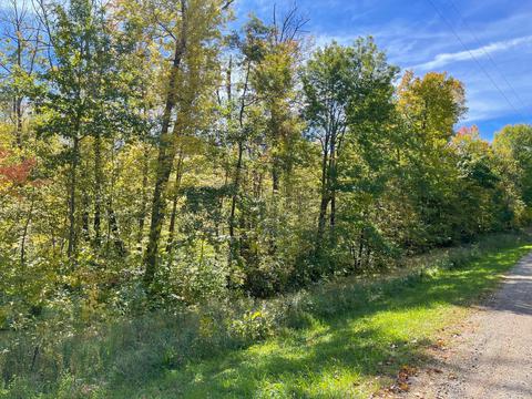 3 Lots Beaver Dr, Garrison, MN 56450 photo 8