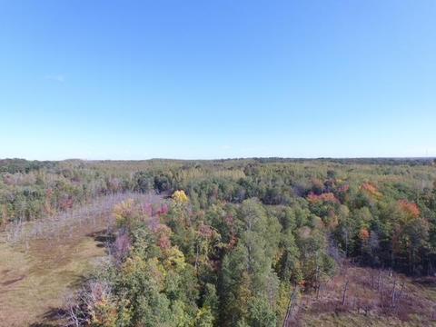 Tbd Highway 77, Trego, WI 54888