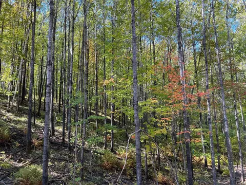 tbd 1 Ridgeway Ln, Walker, MN 56484