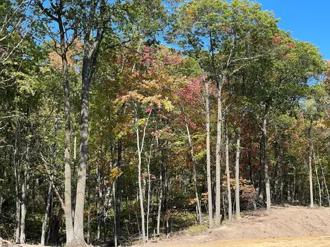 tbd 3 Ridgeway Ln, Walker, MN 56484