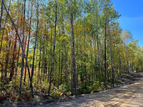 tbd 3 Ridgeway Ln, Walker, MN 56484 photo 2