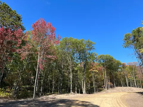 tbd 3 Ridgeway Ln, Walker, MN 56484 photo 6