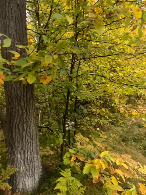 Lot 5 Castlewood Court, Breezy Point, MN 56472