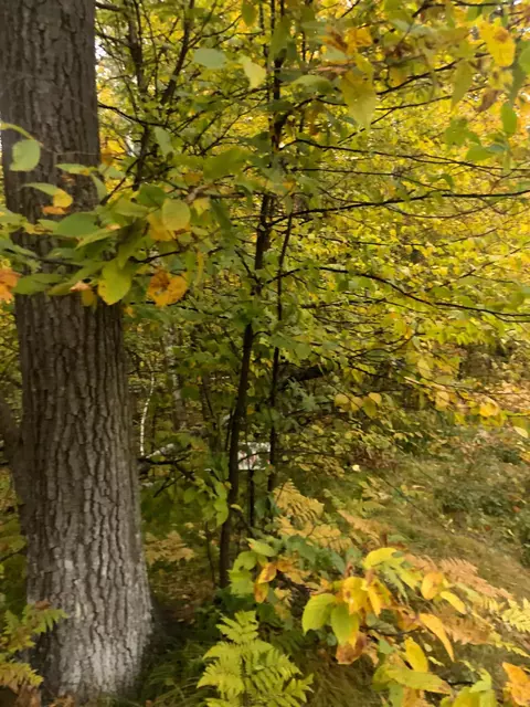 lot5 Castlewood Ct, Breezy Point, MN 56472