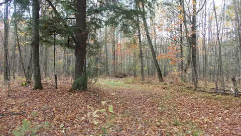 Nnn Flambeau Rd, Big Falls Twp, WI 54848