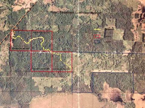 Tbd Cut Foot Forest Lake Rd, International Falls, MN 56639