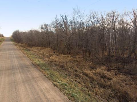 Nnn 140th Street, Foreston, MN 56330
