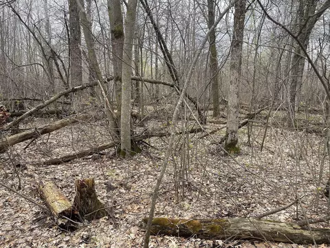 000 Nelson Rd, Swiss Twp, WI 54830