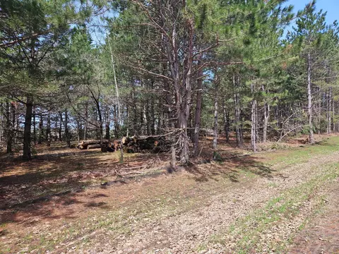 Nnnnn Alta Way, Pine Lake Twp, MN 56573