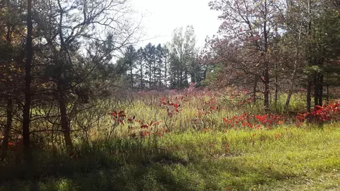 Nnn Pequot Court, Fawn Lake Twp, MN 56438
