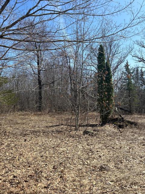 15 Nnn 392nd St, Amador Twp, MN 55012