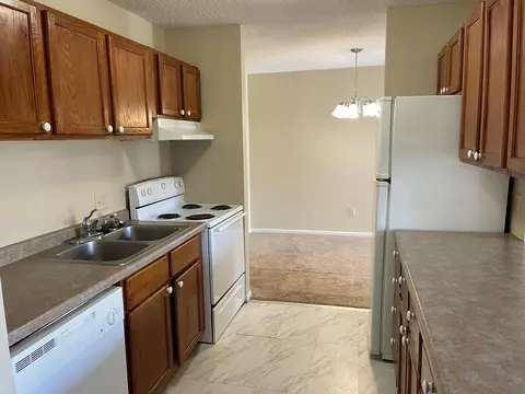 4110 Rahn Rd #A205, Eagan, MN 55122 photo 3