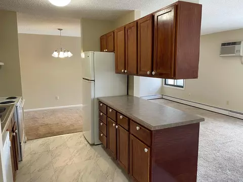 4110 Rahn Rd #A205, Eagan, MN 55122 photo 2