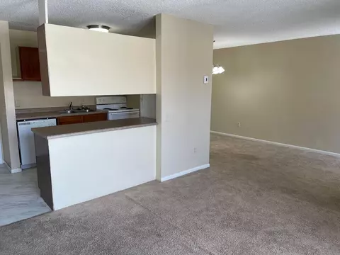 4110 Rahn Rd #A205, Eagan, MN 55122 photo 7