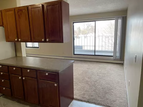 4110 Rahn Rd #A205, Eagan, MN 55122