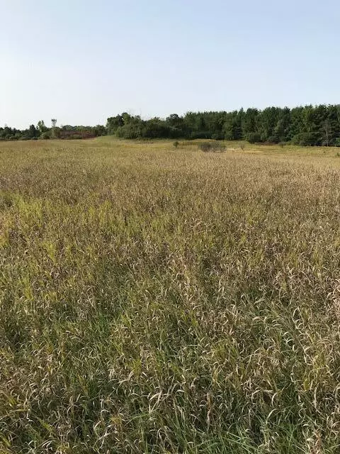 Nnnn Island Estates Drive Nw, Pine Island, MN 55963