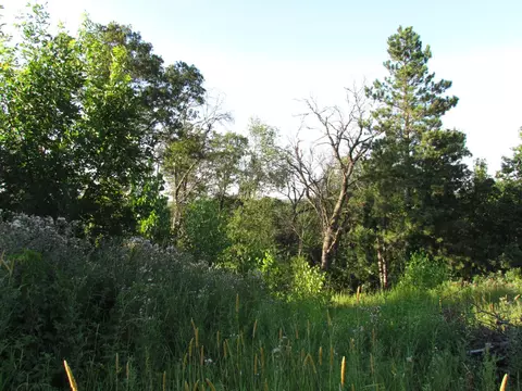 13322 Johnson St, Becker, MN 55308 photo 3