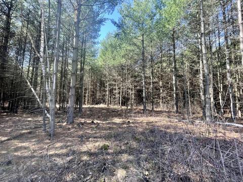617 193rd Ave, Somerset Twp, WI 54025