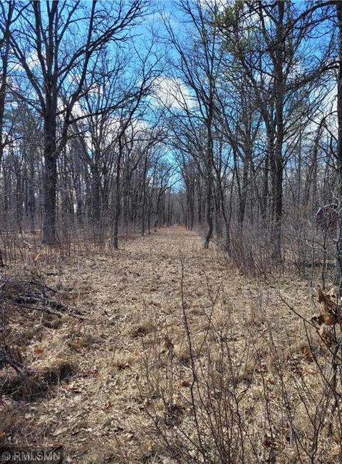 Tbd Sweet Road, Crow Wing Twp, MN 56401