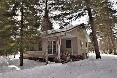 51566 River Forest Rd, Roseau, MN 56751