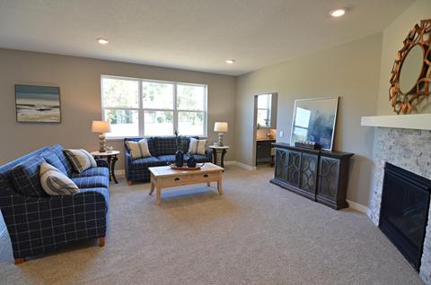 13102 Bauer Dr N, Champlin, MN 55316 photo 21
