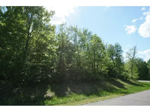 lot3 Blk 4 Black Bear Trl, Brainerd, MN 56401