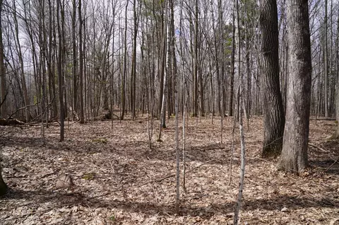 0 26 12 Ave, Lakeland Twp, WI 54829