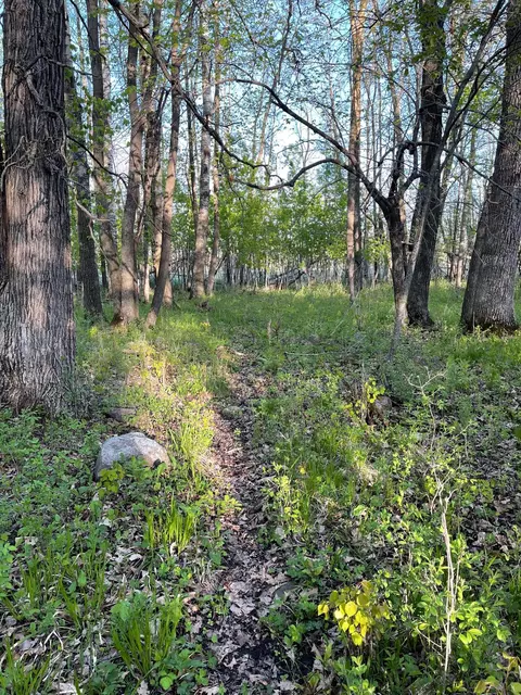 tbd 151st Ave, Sebeka, MN 56477 photo 14