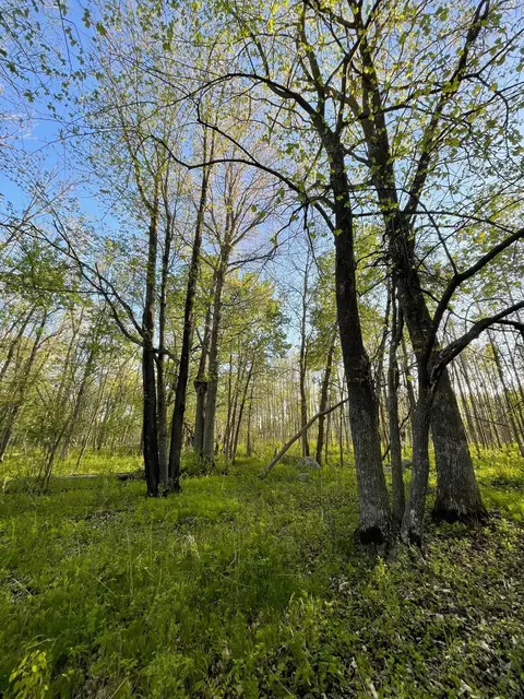 tbd 151st Ave, Sebeka, MN 56477 photo 2