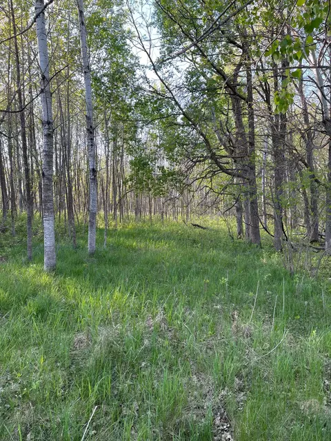 tbd 151st Ave, Sebeka, MN 56477 photo 9