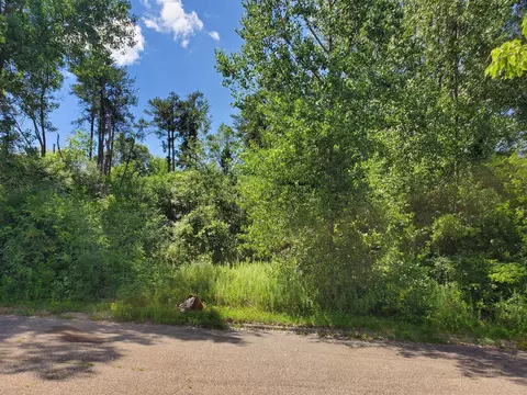 15 Nnn Buck Hill Rd, Burnsville, MN 55306