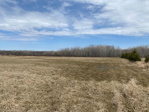 Nnn 145th Avenue, Milaca, MN 56353