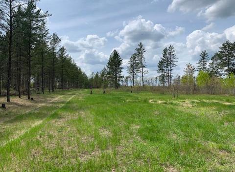 Nnn Cottingham Drive, Bullard Twp, MN 56479