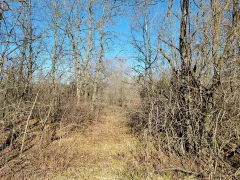 Lot 25 475th Street, Wheeler, WI 54772